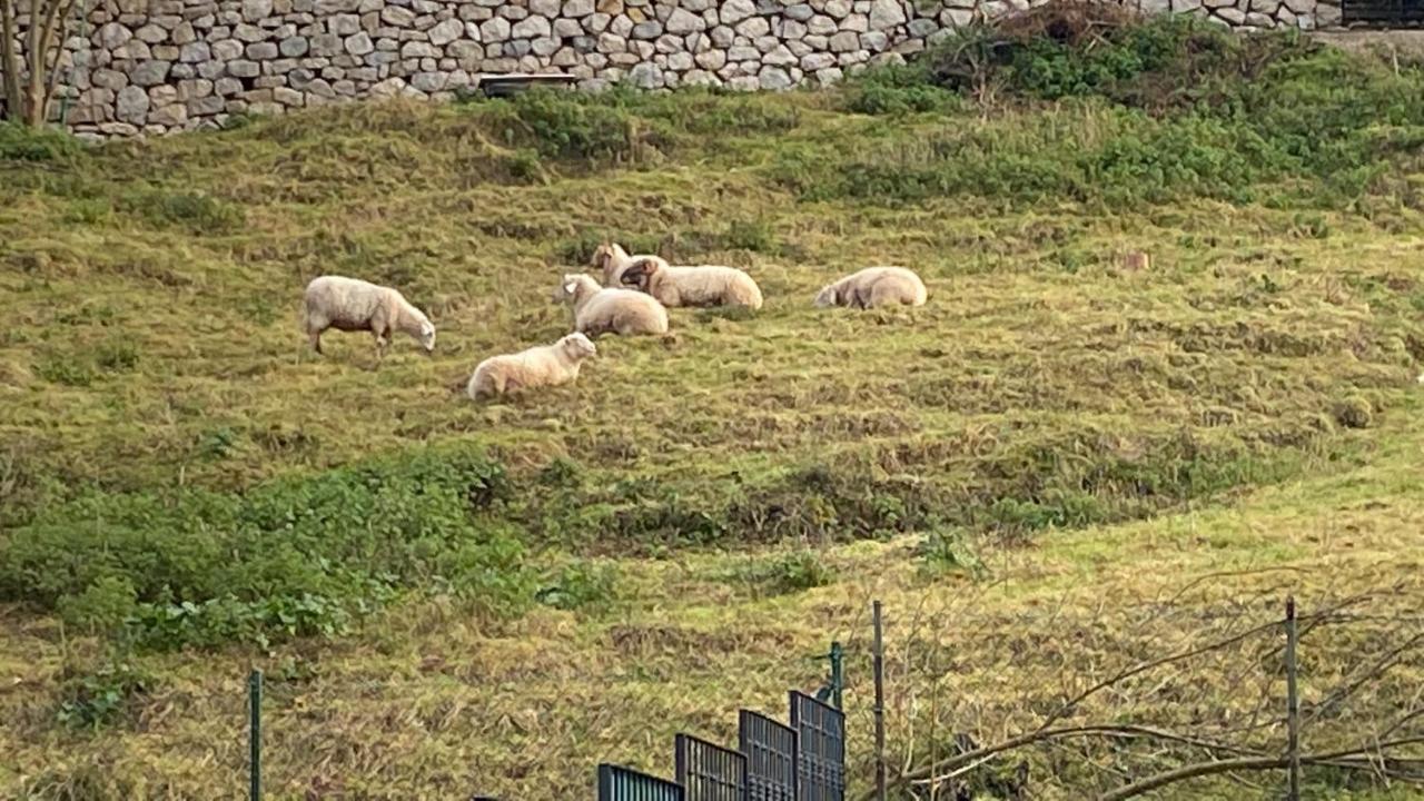 La Casa De Fito Cerca Del Centro De Comillas Esterno foto